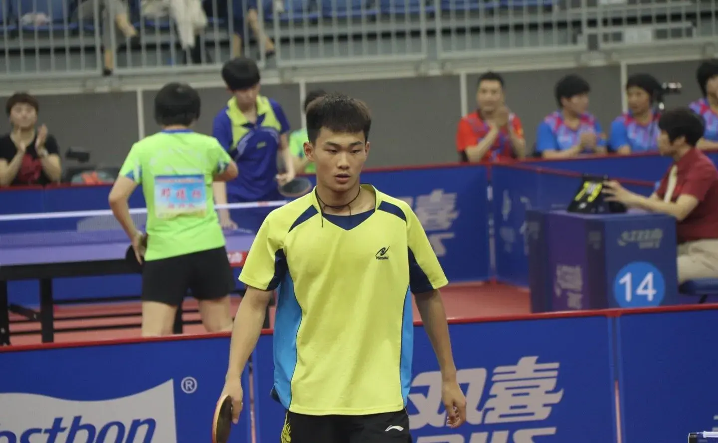 tenan, msn, entit tenan, msn, entit