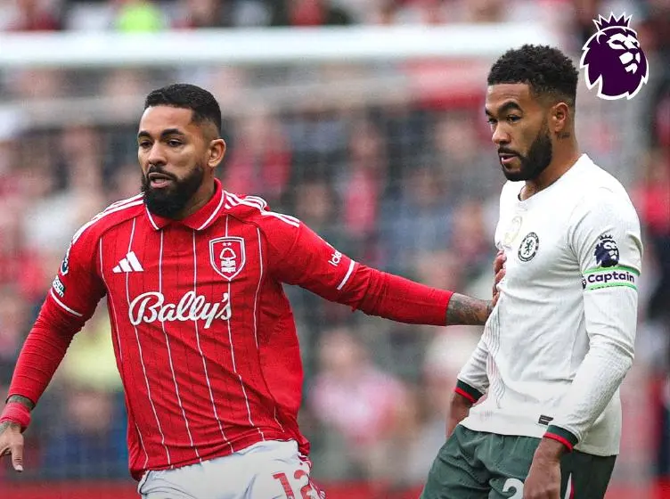 重金补强的 重金补强的